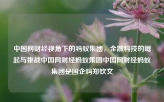 中国网财经视角下的蚂蚁集团，金融科技的崛起与挑战中国网财经蚂蚁集团中国网财经蚂蚁集团是国企吗郑钦文