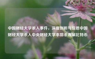 中国财经大学杀人事件，深度剖析与反思中国财经大学杀人中央财经大学本部杀妻案比特币