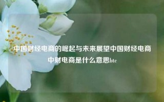 中国财经电商的崛起与未来展望中国财经电商中财电商是什么意思btc