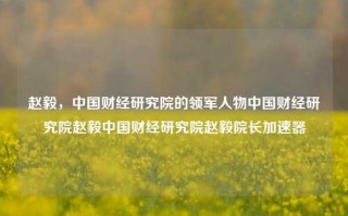 赵毅，中国财经研究院的领军人物中国财经研究院赵毅中国财经研究院赵毅院长加速器