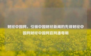 财经中国网，引领中国财经新闻的先锋财经中国网财经中国网官网潘粤明