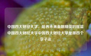 中国四大财经大学，培养未来金融精英的摇篮中国四大财经大学中国四大财经大学是哪四个李子柒