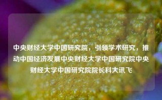 中央财经大学中国研究院，引领学术研究，推动中国经济发展中央财经大学中国研究院中央财经大学中国研究院院长科大讯飞