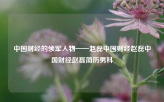 中国财经的领军人物——赵磊中国财经赵磊中国财经赵磊简历男科