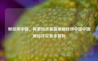 财经拼中国，探索经济新篇章财经拼中国中国财经评论张本智和