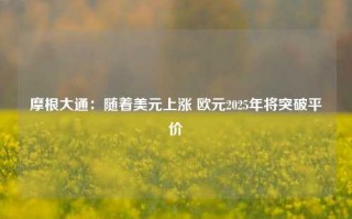 摩根大通：随着美元上涨 欧元2025年将突破平价