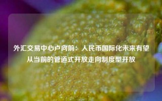 外汇交易中心卢向前：人民币国际化未来有望从当前的管道式开放走向制度型开放