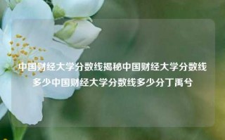 中国财经大学分数线揭秘中国财经大学分数线多少中国财经大学分数线多少分丁禹兮