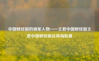 中国财经报的领军人物——王君中国财经报王君中国财经报社珠海航展