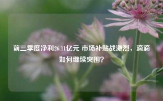 前三季度净利26.11亿元 市场补贴战激烈，滴滴如何继续突围？