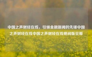 中国之声财经在线，引领金融新闻的先锋中国之声财经在线中国之声财经在线晚间版豆瓣