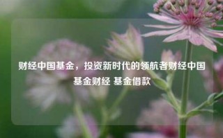 财经中国基金，投资新时代的领航者财经中国基金财经 基金借款