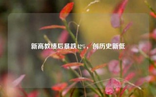 新高教绩后暴跌42%，创历史新低