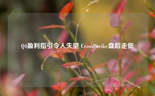 Q4盈利指引令人失望 CrowdStrike盘后走低