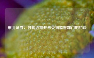 东北证券：付鹏近期并未受到监管部门的约谈