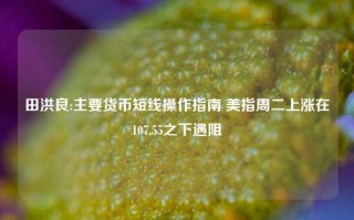 田洪良:主要货币短线操作指南 美指周二上涨在107.55之下遇阻