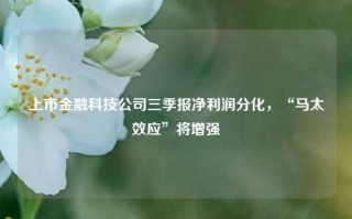 上市金融科技公司三季报净利润分化，“马太效应”将增强