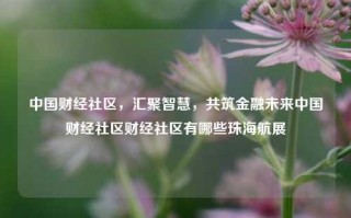 中国财经社区，汇聚智慧，共筑金融未来中国财经社区财经社区有哪些珠海航展