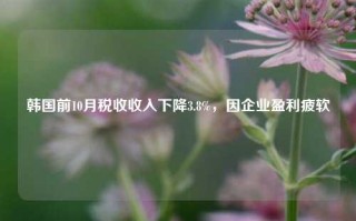 韩国前10月税收收入下降3.8%，因企业盈利疲软