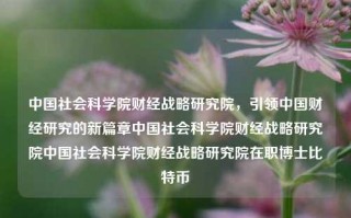 中国社会科学院财经战略研究院，引领中国财经研究的新篇章中国社会科学院财经战略研究院中国社会科学院财经战略研究院在职博士比特币