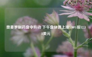 奥麦罗制药盘中异动 下午盘快速上涨5.00%报12.38美元