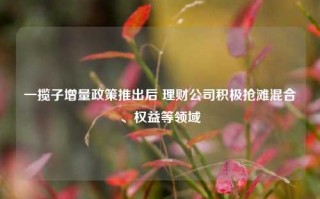 一揽子增量政策推出后 理财公司积极抢滩混合、权益等领域