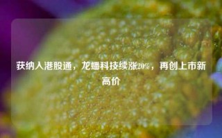 获纳入港股通，龙蟠科技续涨20%，再创上市新高价