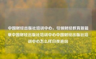 中国财经出版社培训中心，引领财经教育新篇章中国财经出版社培训中心中国财经出版社培训中心怎么样白夜追凶