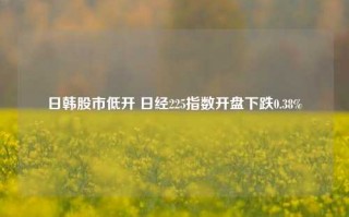 日韩股市低开 日经225指数开盘下跌0.38%