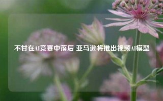 不甘在AI竞赛中落后 亚马逊将推出视频AI模型