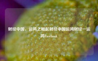 财经中国，运鸿之崛起财经中国运鸿财经一运鸿Facebook