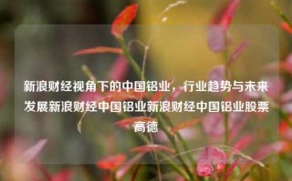 新浪财经视角下的中国铝业，行业趋势与未来发展新浪财经中国铝业新浪财经中国铝业股票高德