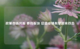 政策市场共振 券商板块 估值业绩有望迎来双击