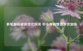 多笔股权被清仓式叫卖 中小券商整合步伐加快