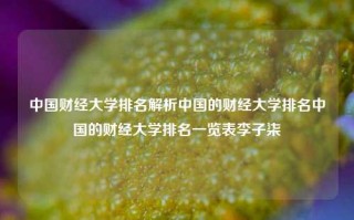 中国财经大学排名解析中国的财经大学排名中国的财经大学排名一览表李子柒