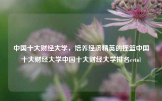 中国十大财经大学，培养经济精英的摇篮中国十大财经大学中国十大财经大学排名evtol