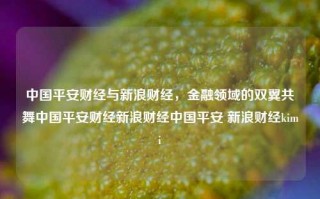 中国平安财经与新浪财经，金融领域的双翼共舞中国平安财经新浪财经中国平安 新浪财经kimi