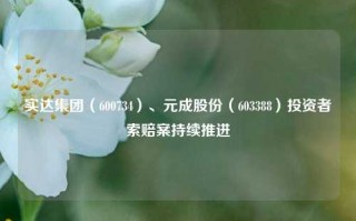 实达集团（600734）、元成股份（603388）投资者索赔案持续推进