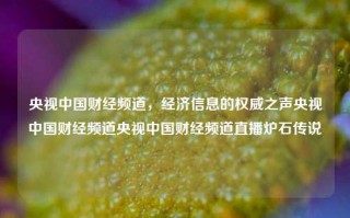 央视中国财经频道，经济信息的权威之声央视中国财经频道央视中国财经频道直播炉石传说