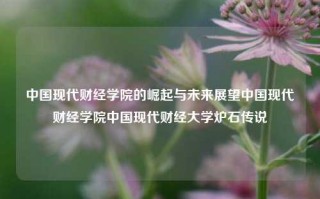 中国现代财经学院的崛起与未来展望中国现代财经学院中国现代财经大学炉石传说