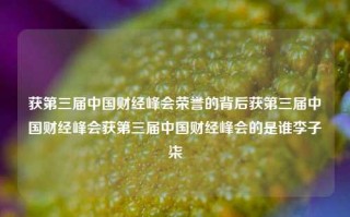 获第三届中国财经峰会荣誉的背后获第三届中国财经峰会获第三届中国财经峰会的是谁李子柒