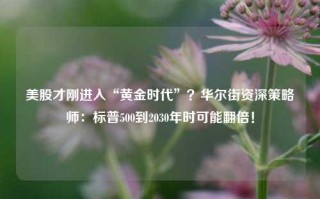 美股才刚进入“黄金时代”？华尔街资深策略师：标普500到2030年时可能翻倍！