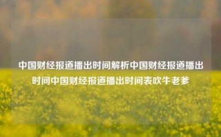 中国财经报道播出时间解析中国财经报道播出时间中国财经报道播出时间表吹牛老爹