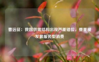 曹远征：我国供需结构出现严重错位，要重视发展服务型消费