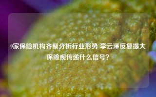 9家保险机构齐聚分析行业形势 李云泽反复提大保险观传递什么信号？