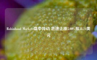 Robinhood Markets盘中异动 急速上涨5.00%报38.24美元