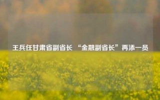 王兵任甘肃省副省长 “金融副省长”再添一员