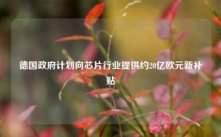 德国政府计划向芯片行业提供约20亿欧元新补贴