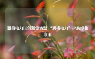 西昌电力以创新促转型 “满格电力”护航绿色凉山