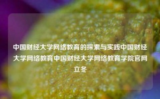 中国财经大学网络教育的探索与实践中国财经大学网络教育中国财经大学网络教育学院官网立冬